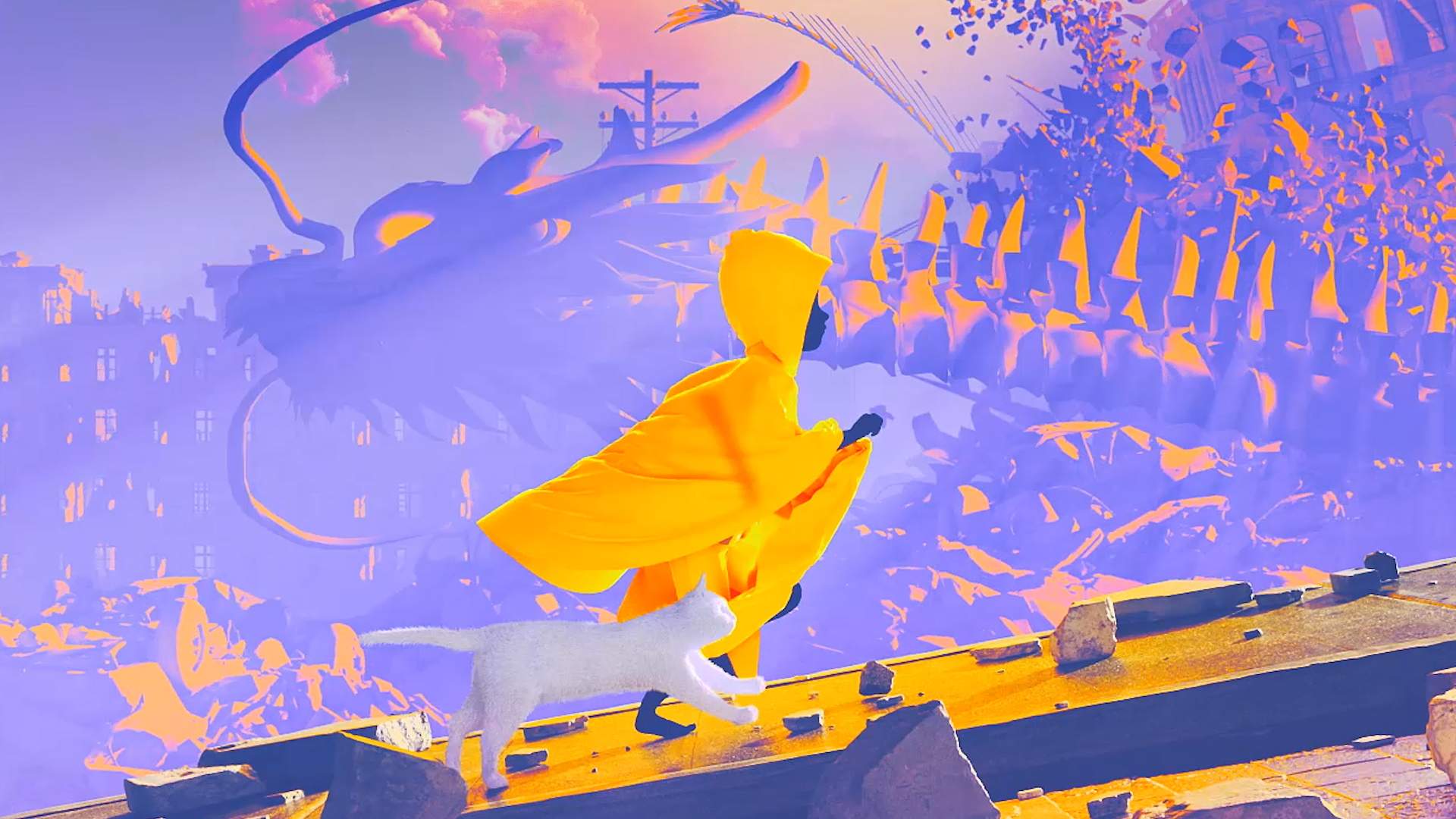 cat | entity